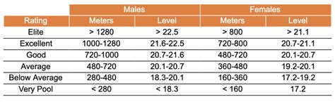 yo yo test score